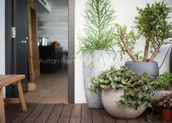 빌라 Avitan Premium & Luxury