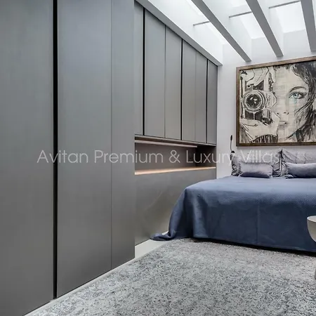 Avitan Premium & Luxury 빌라