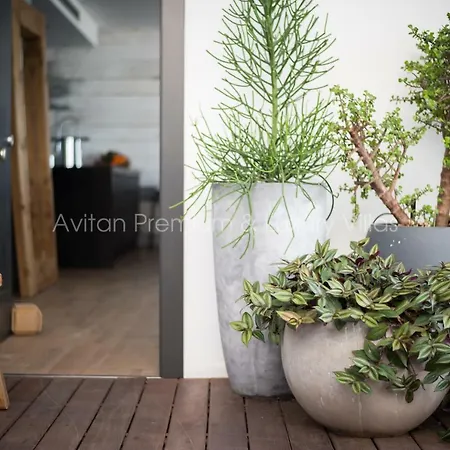 Вилла Avitan Premium & Luxury